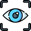 Webcam Icon