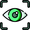 Webcam Icon